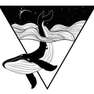 illustration baleine sur illustrator