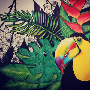 jungle avec toucan