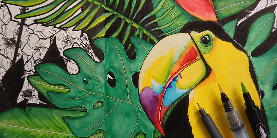 jungle toucan