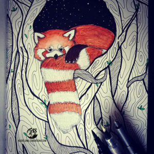 panda roux