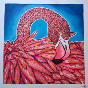 Illustration flamant rose