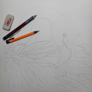 dessin flamant rose