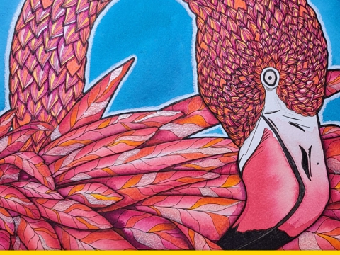 Illustration Flamant rose