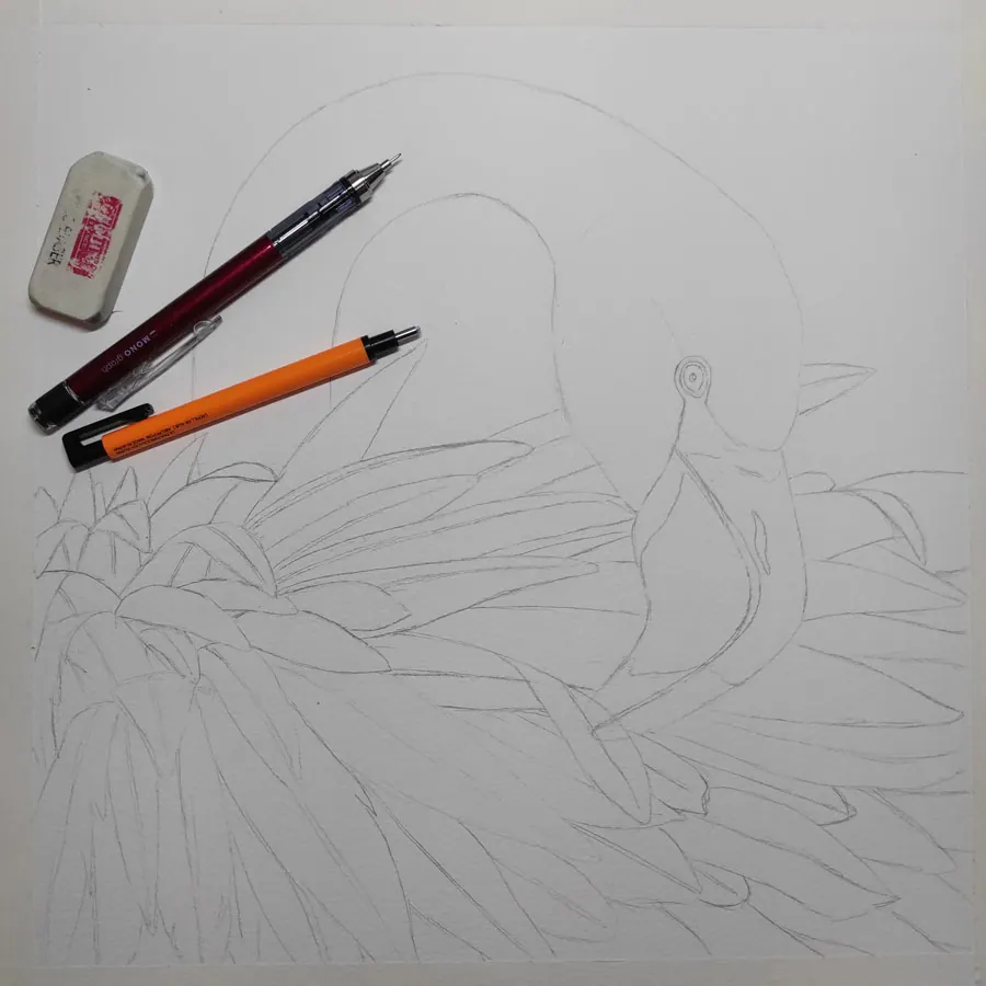 flamant rose 04