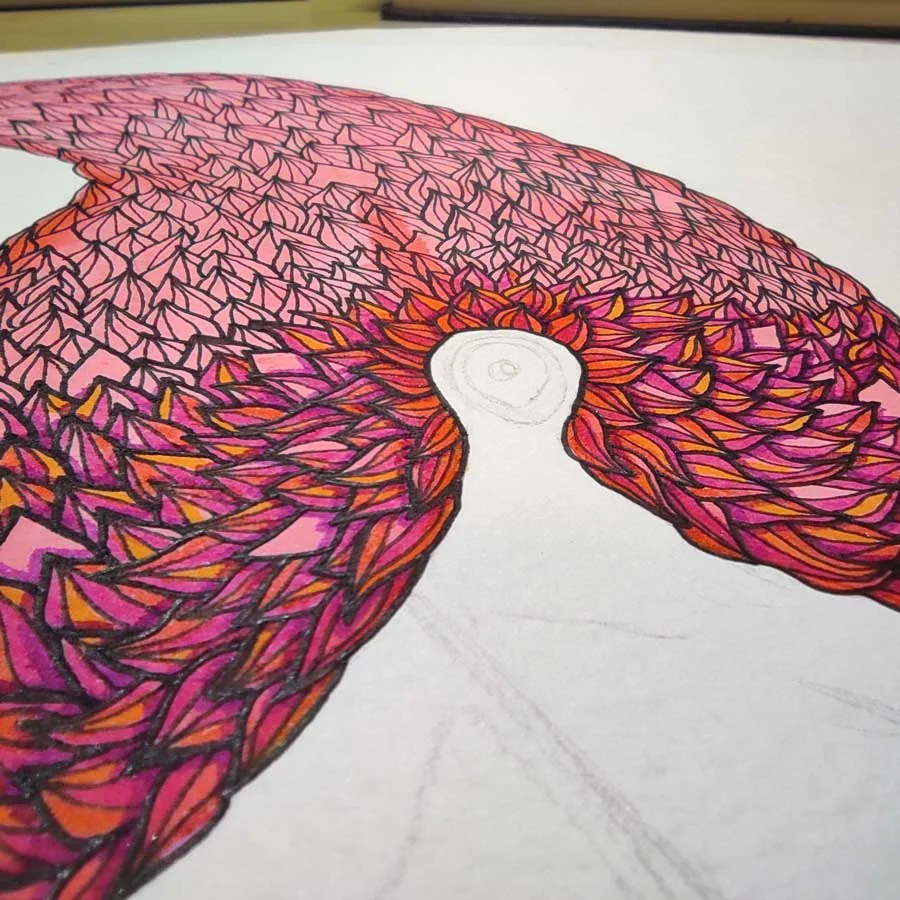 flamant rose 05