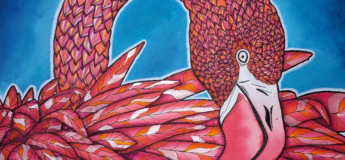 Gros plan flamant rose illustration, plumes roses et orangées sur fond bleu, encre colorex crayon blanc