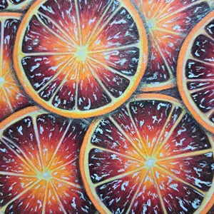 Illustration agrumes oranges sanguines feutres acryliques, As de Lune Création