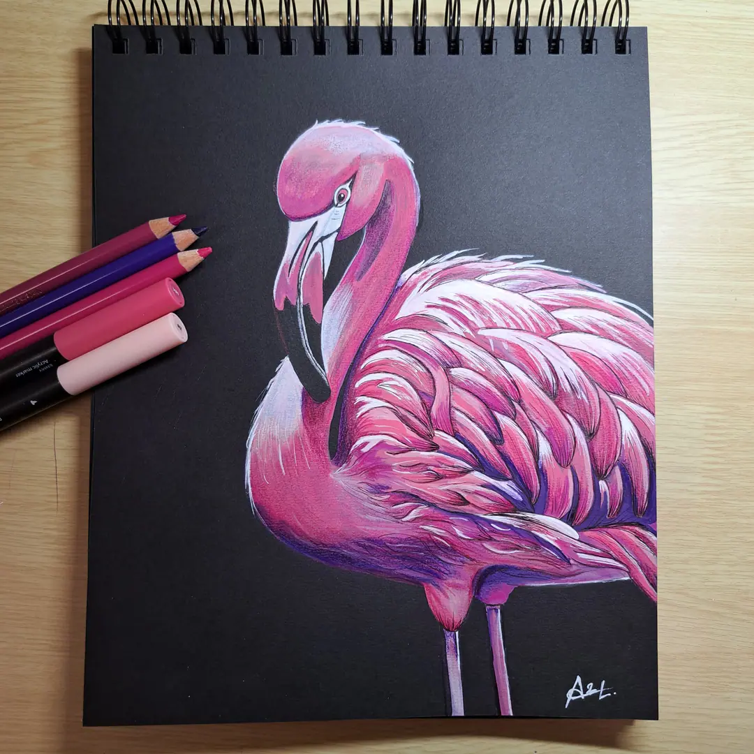 flamant noir01