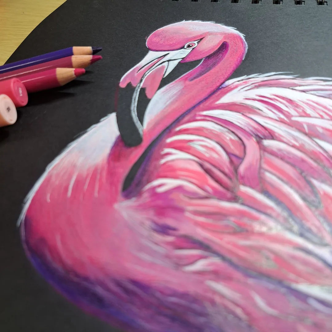 flamant noir02