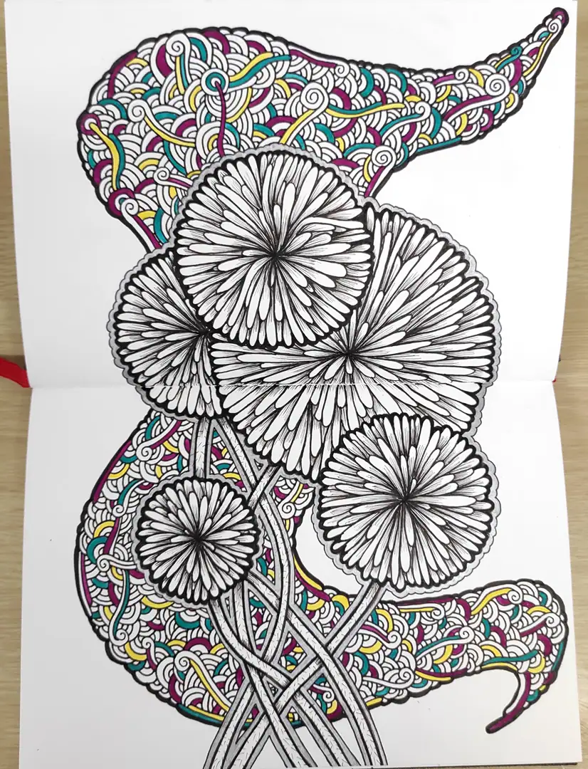 graphisme-vegetal-03
