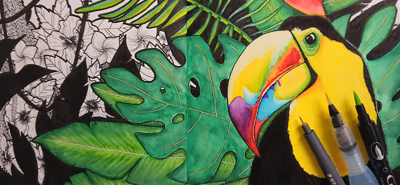 Gros plan illustration Jungle, toucan aux couleurs vives sur fond feutre noir, feutres aquarellables posés au premier plan