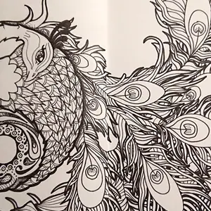 Illustration paon zentangle feutre noir double page, As de Lune Création