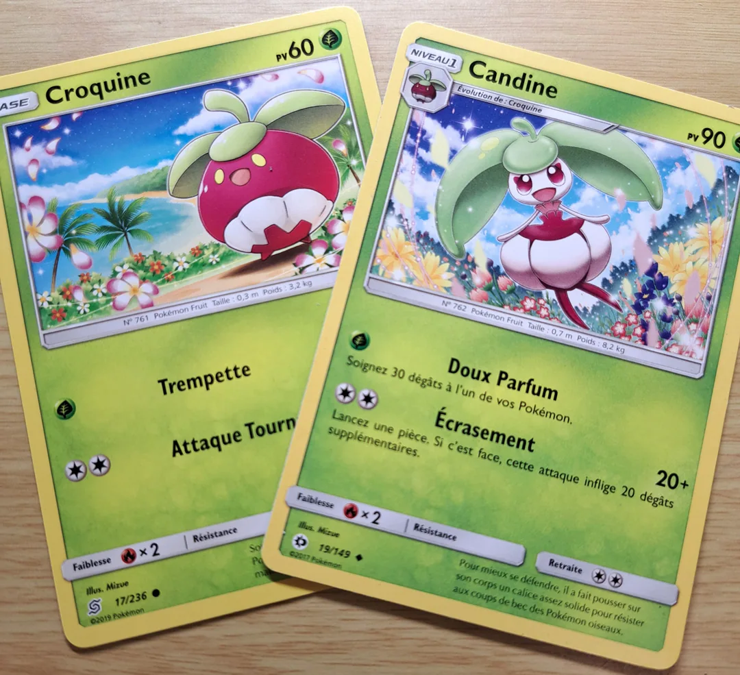 pokemon-croquine-candine-01